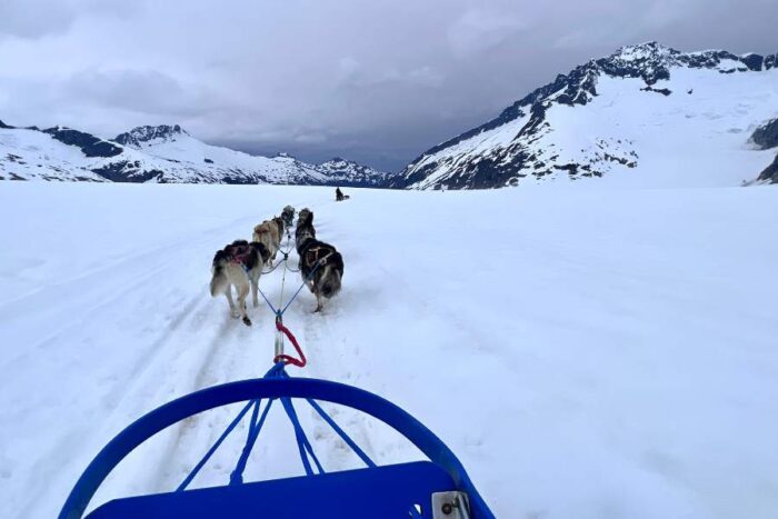 dog sledding on glacier Juneau Alaska 