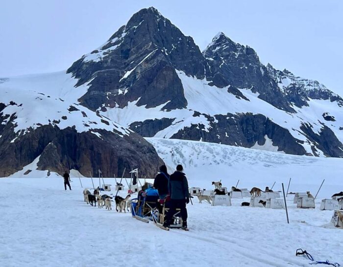 dog sledding on glacier in Alaska 