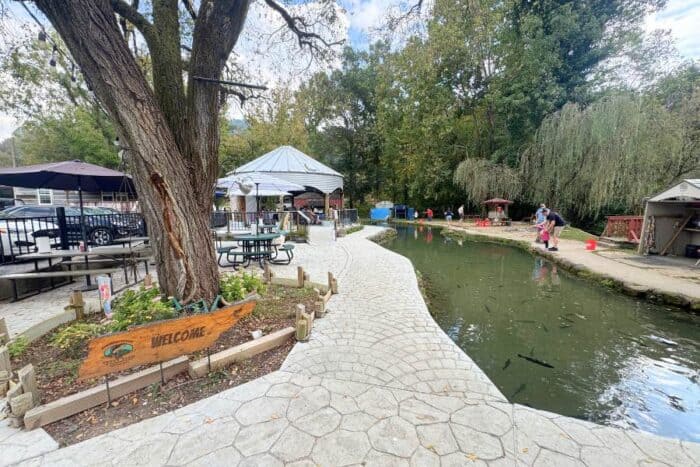 English Mountain Trout Farm