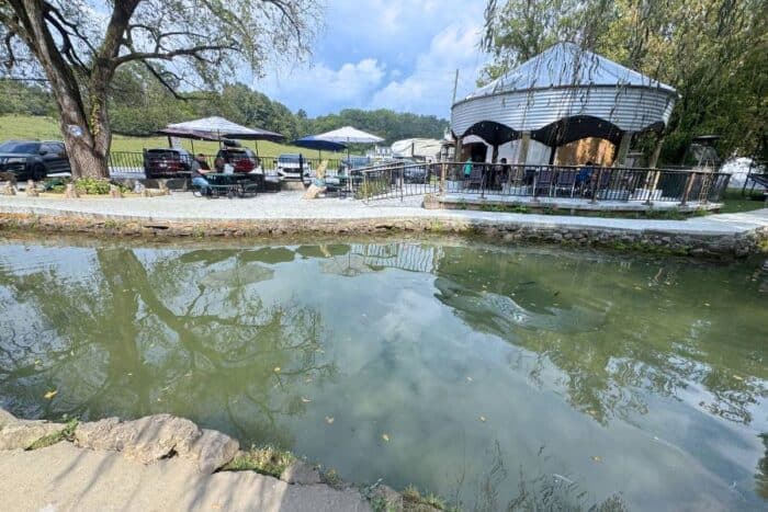 English Mountain Trout Farm