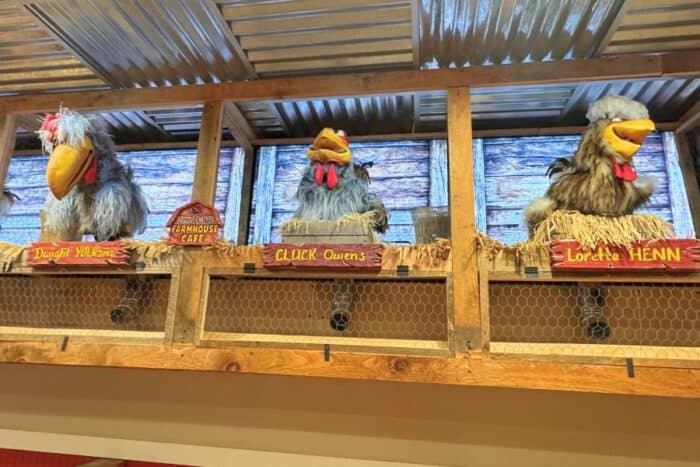 Frizzle Chicken Pigeon Forge