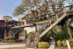 The Best Restaurants in New Smyrna Beach Florida