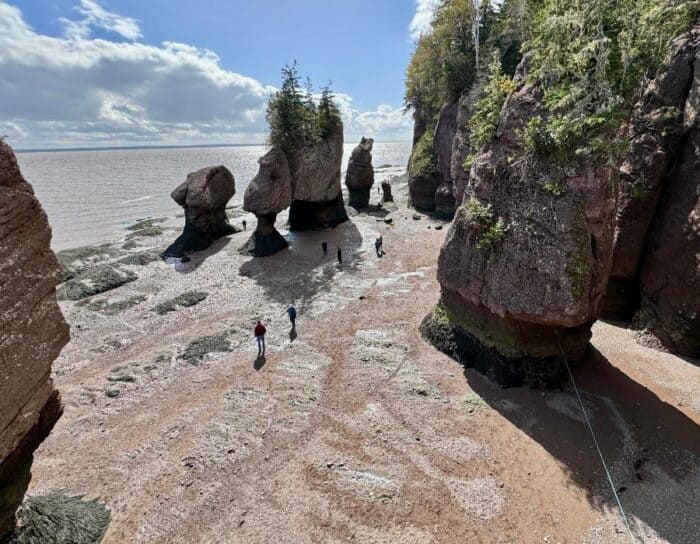 Bay of Fundy National Park New Brunswick Canada 