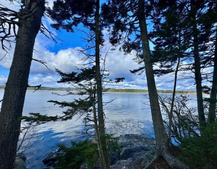 Irving Nature Park Saint John New Brunswick Canada 