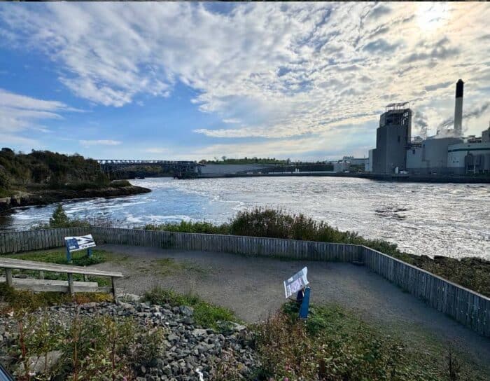 view of Reversing Falls at Fallsview Park  John New Brunswick Canada 