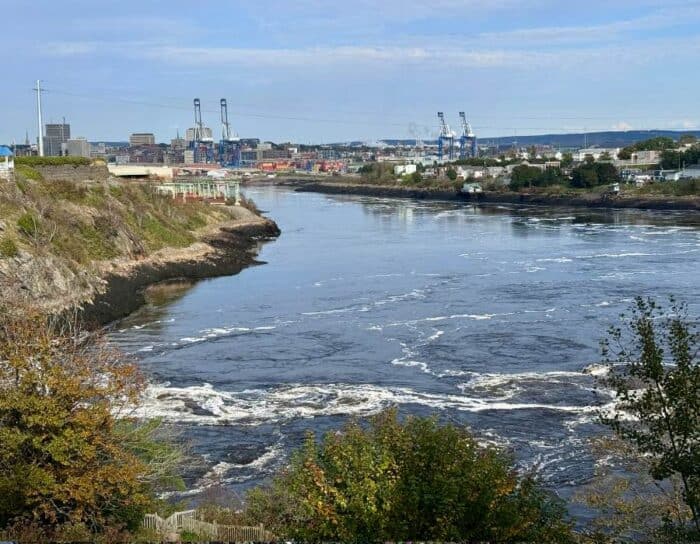 view of Reversing Falls at Fallsview Park  John New Brunswick Canada 