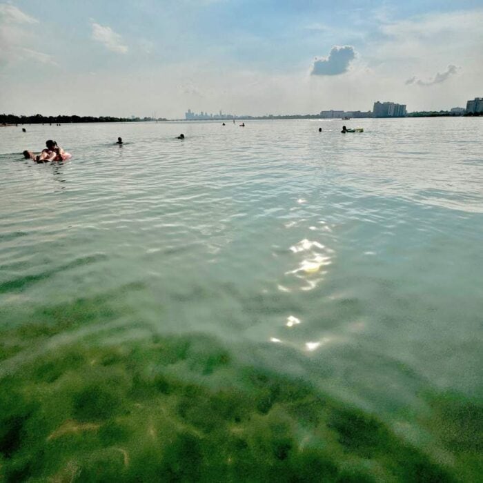 beach at Belle Isle Detroit