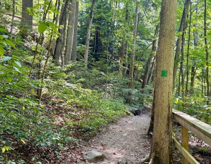 trail at Clifty Falls State Park