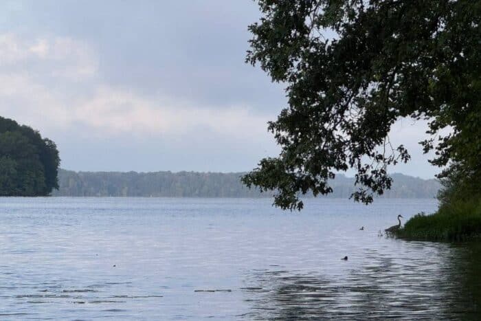 view from dock at Lakeside Oasis on Rocky Fork Lake