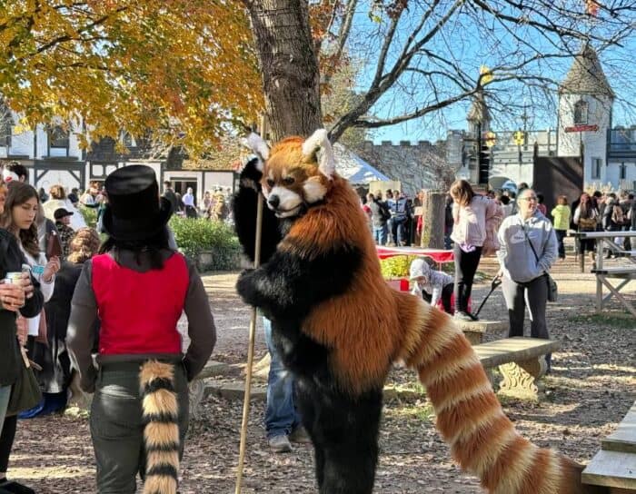 raccoon costume Ohio Renaissance Festival 