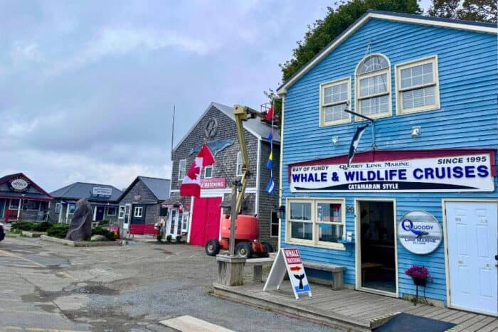 Quoddy Link Marine Whale and Wildlife Cruises in Saint Andrews Andrews