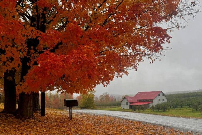 Wellwood Orchards in Vermont