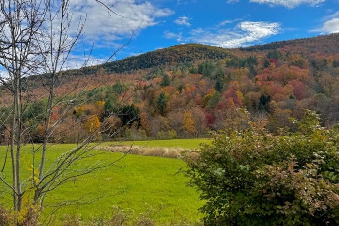 scenic view in Vermont