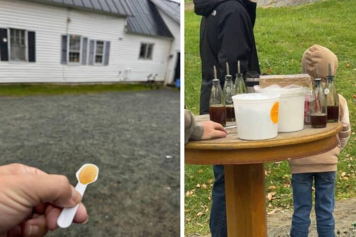 syrup sample at Sugarbush Farms Woodstock Vermont