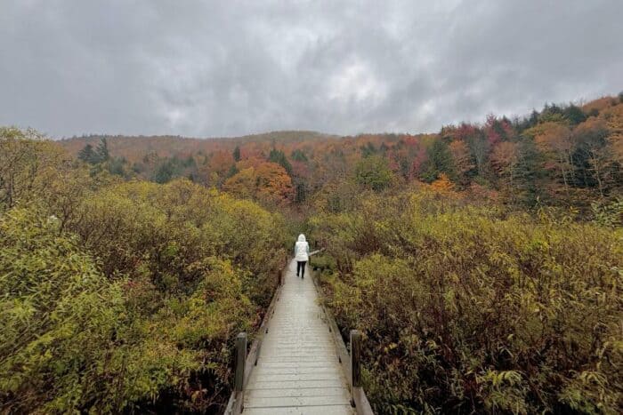 trail to Thundering Brook Falls in Vermont 