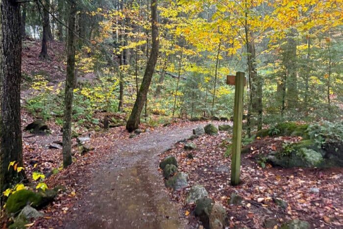  trail to Thundering Brook Falls in Vermont 