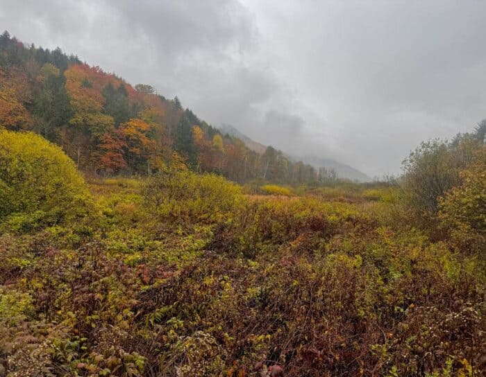 view from trail to Thundering Brook Falls in Vermont 