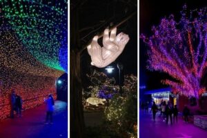 How to Save Money on Festival of Lights Admission