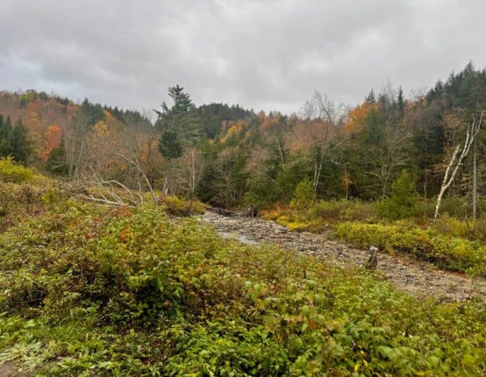 Moss Glen Falls trail Stowe Vermont