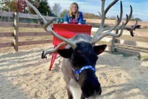 Reindeer Encounters at The Reindeer Farm in Bowling Green, KY