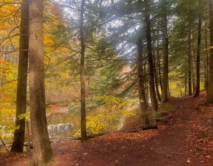 Warren Falls in Vermont