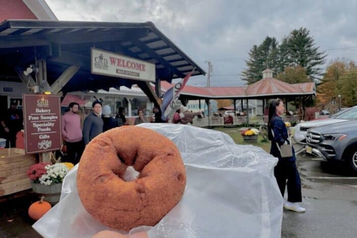 donut at Cold Hollow Cider Mill