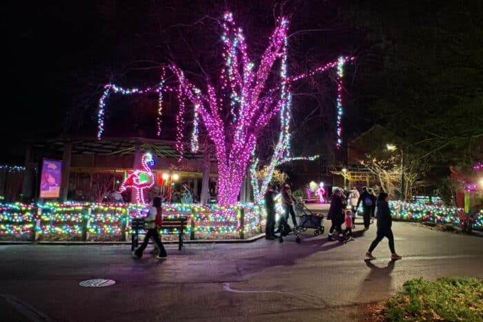 Christmas at the Zoo at Indianapolis Zoo 