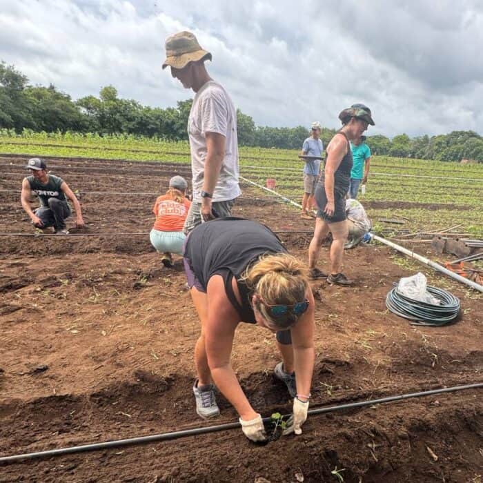 farm in Nicaragua 