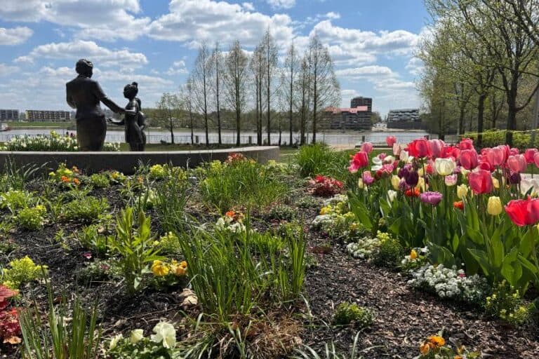 The Best Places to See Spring Flowers in Cincinnati
