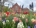 The Best Places to See Spring Flowers in Cincinnati