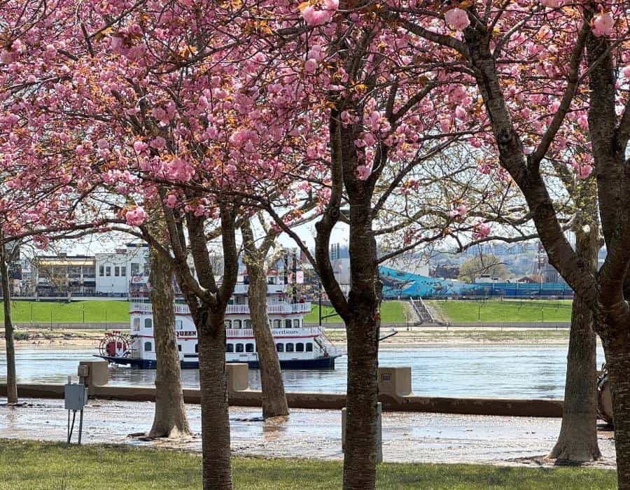 The Best Places to See Spring Flowers in Cincinnati