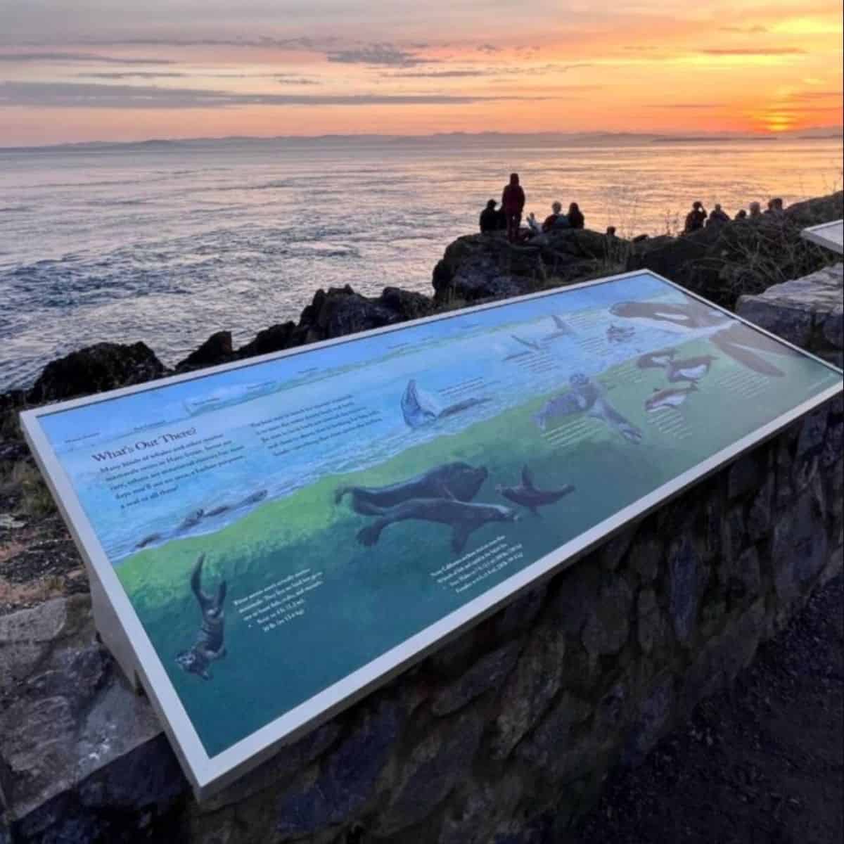 sunset at Lime Kiln Point State Park