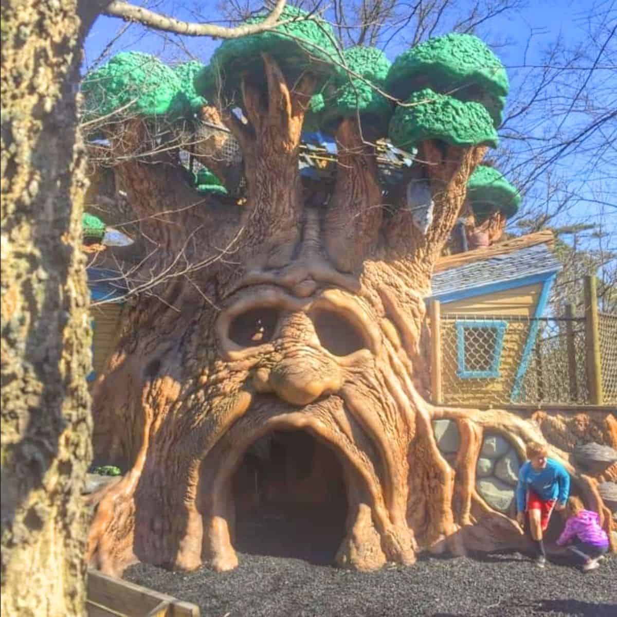 The Highfield Discovery Garden treehouse