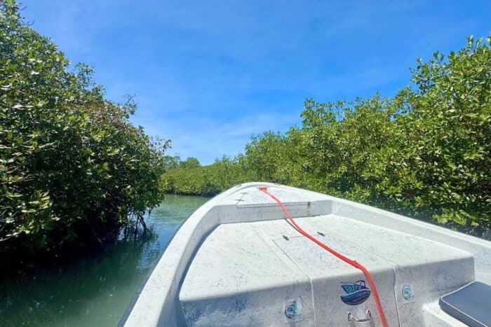 Monkey River in Belize