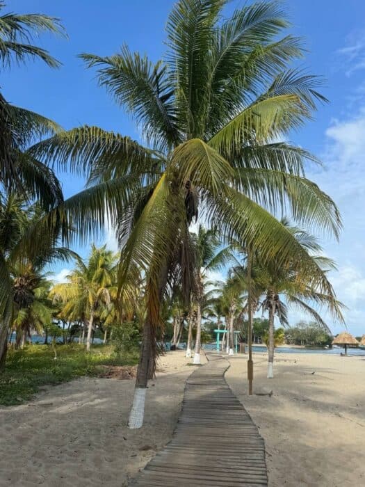 Placencia Belize