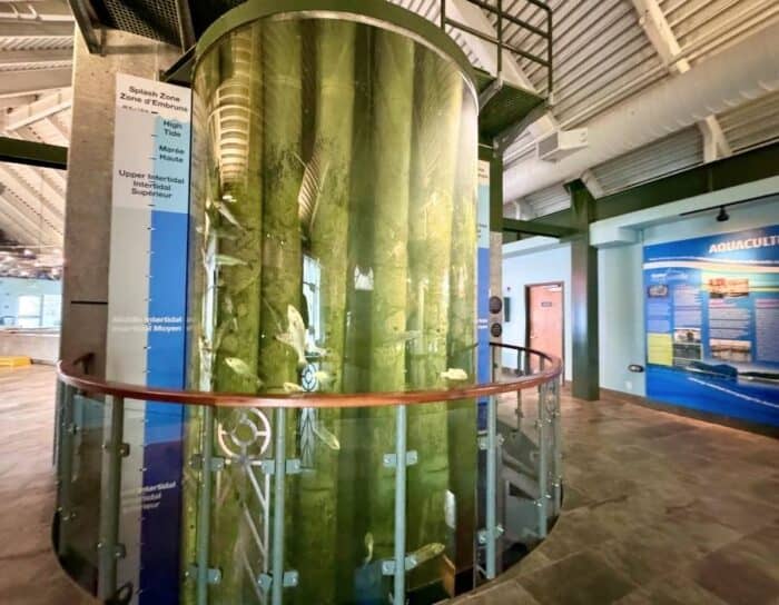 The Fundy Discovery Aquarium at the Huntsman Marine Science Centre 