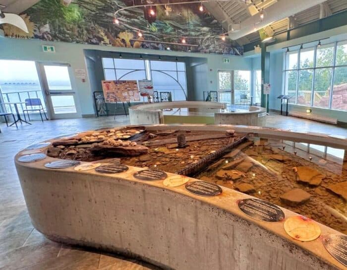 The Fundy Discovery Aquarium at the Huntsman Marine Science Centre 