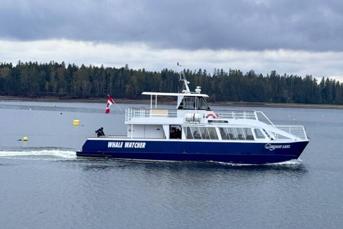 Whale-watching Tour with Quoddy Link Marine Whale and Wildlife Cruises