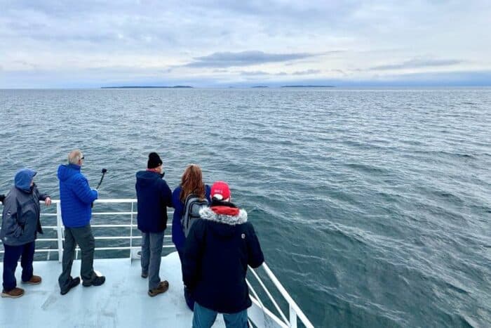  Whale-watching Tour with Quoddy Link Marine Whale and Wildlife Cruises
