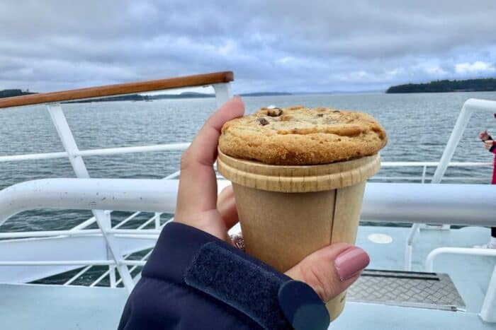 hot chocolate and cookie Whale-watching Tour with Quoddy Link Marine Whale and Wildlife Cruises