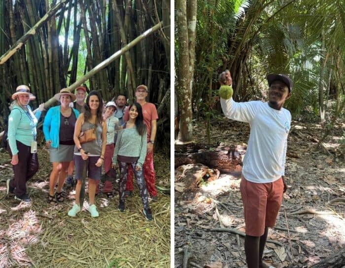 jungle near Monkey River in Belize