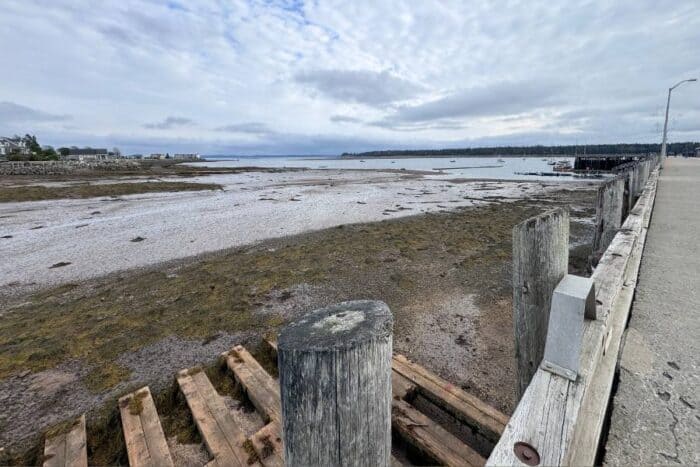 low tide Saint Andrews 