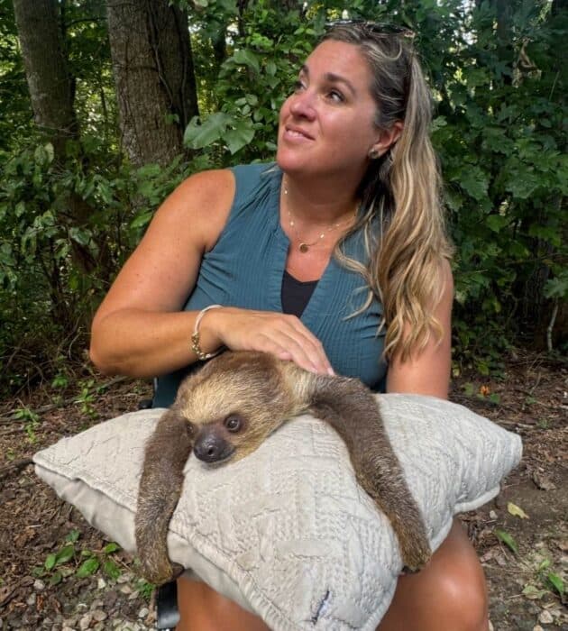 baby sloth encounter at North Georgia Wildlife and Safari Park