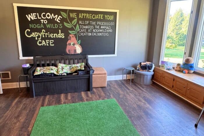 capybara cafe at Nacoochee Adventures