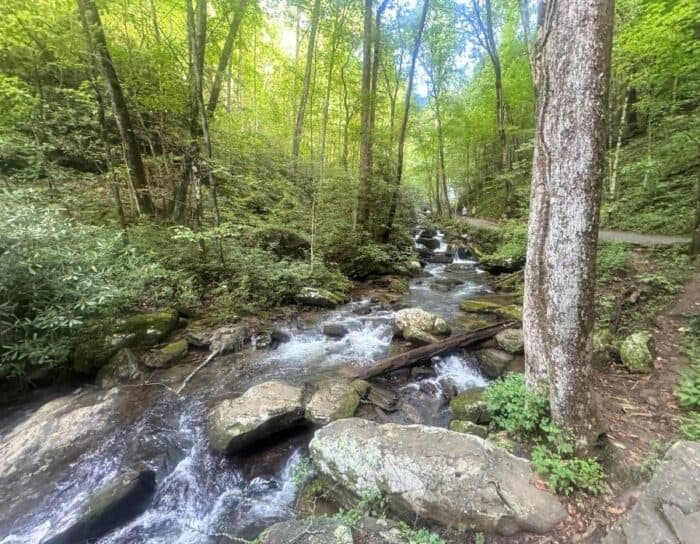 hike to Anna Ruby Falls in GA
