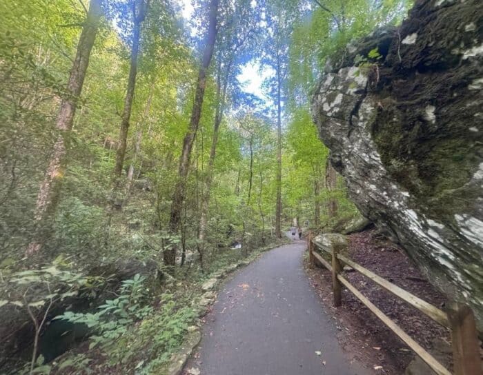 hike to Anna Ruby Falls in GA