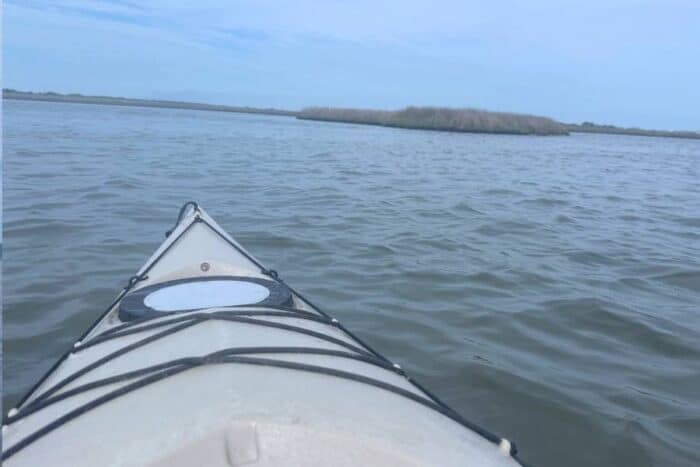 kayaks Paddle NC eco tour