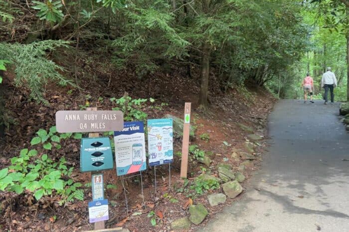 trail to Anna Ruby Falls