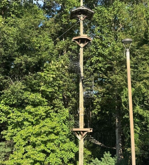 zipline at Unicoi State Park and Adventure Lodge