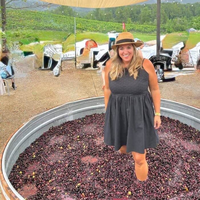 Crush Fest at Yonah Mountain Vineyards